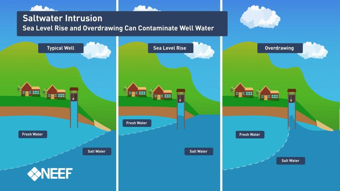 Water уровень. Rising Levels of Sea Water. Marine Water Intrusion. Sea Fresh Water and Salt Water. Saltwater well.